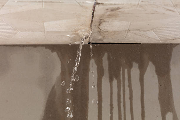 Professional Burst Pipe Cleanup technician working in Reliance, TN